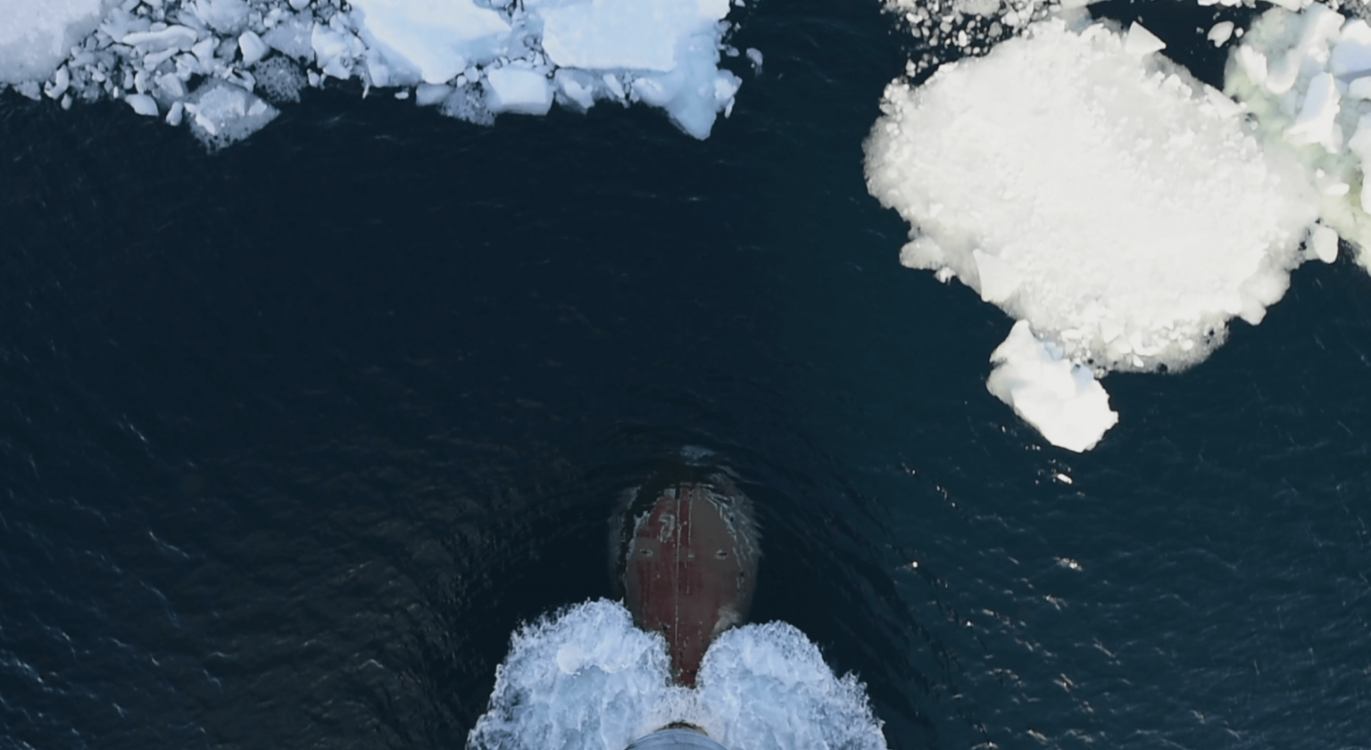 The Evolution of Refrigerants Towards Carbon Neutrality Maersk