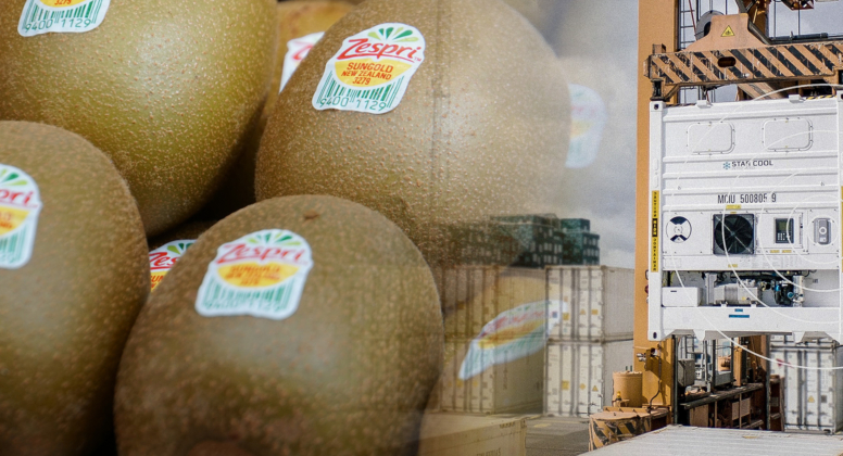 Acting on reducing our CO2 footprint – Zespri International